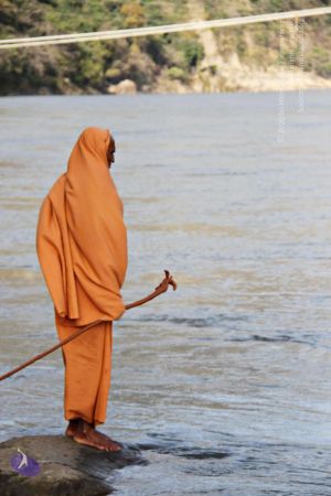 Batch20140318 7368 CMP WM.jpg