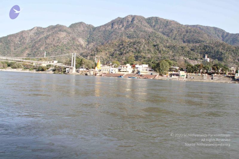 File:Batch20140318 7369 CMP WM.jpg