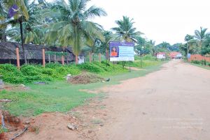 Batch 20100912 2640 CMP WM.jpg