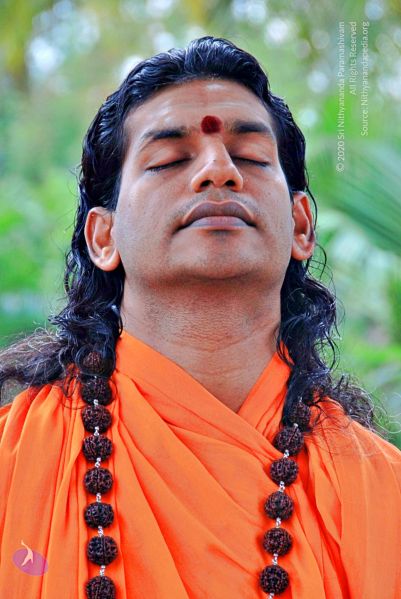 File:Batch 20100912 2674 CMP WM.jpg