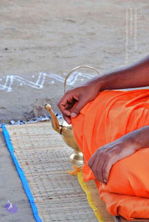 Batch 20100912 2726 CMP WM.jpg