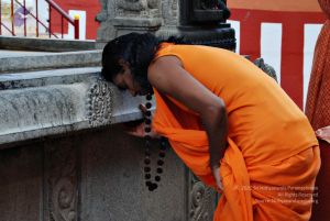 Batch 20100912 2768 CMP WM.jpg