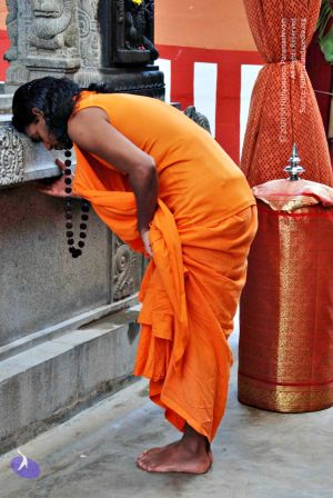 Batch 20100912 2769 CMP WM.jpg