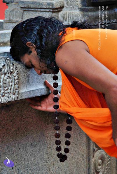 File:Batch 20100912 2770 CMP WM.jpg