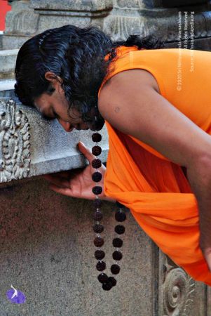 Batch 20100912 2771 CMP WM.jpg