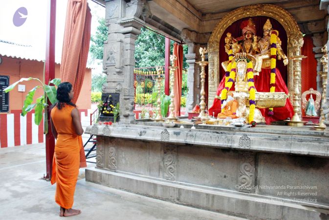 Batch 20100912 2774 CMP WM.jpg