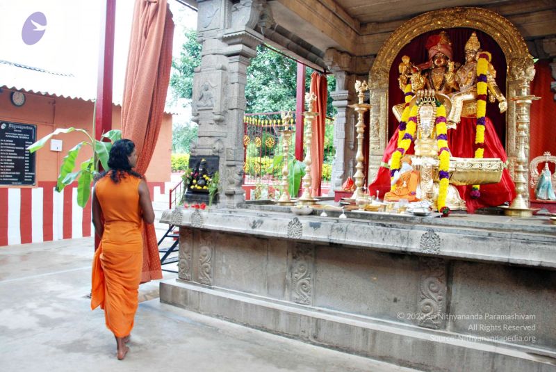 File:Batch 20100912 2775 CMP WM.jpg