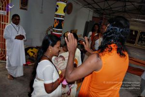 Batch 20100912 2782 CMP WM.jpg