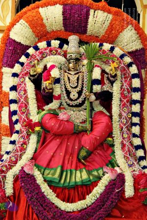 Batch 20131009 4033 CMP WM.jpg