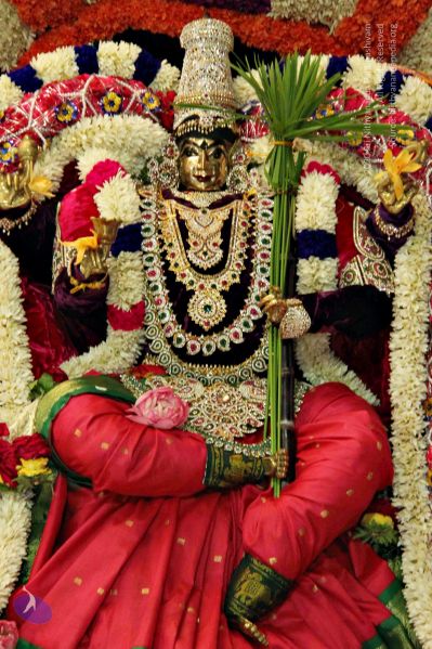 File:Batch 20131009 4034 CMP WM.jpg