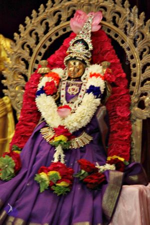 Batch 20131009 4037 CMP WM.jpg