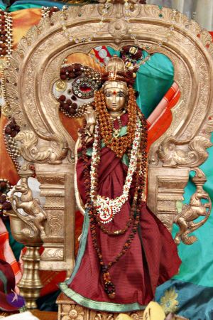 Batch 20131009 4050 CMP WM.jpg