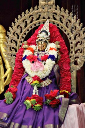 Batch 20131009 4081 CMP WM.jpg