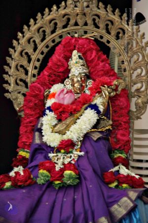 Batch 20131009 4082 CMP WM.jpg