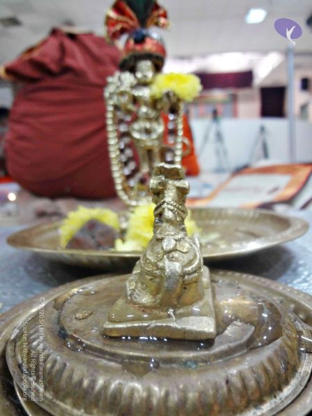 File:Batch 20140129 00191 CMP WM.jpg