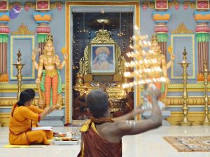 Batch 20140202 00349 CMP WM.jpg