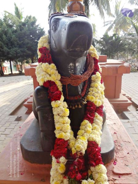 File:Batch 20140202 00359 CMP WM.jpg