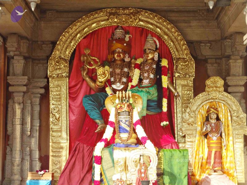 File:Batch 20140202 00361 CMP WM.jpg