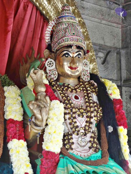 File:Batch 20140202 00369 CMP WM.jpg