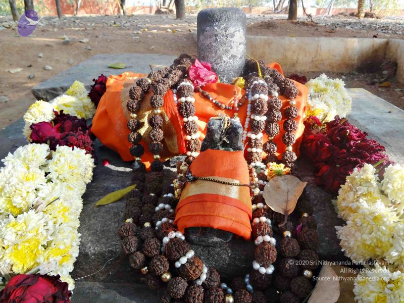 File:Batch 20140202 00376 CMP WM.jpg