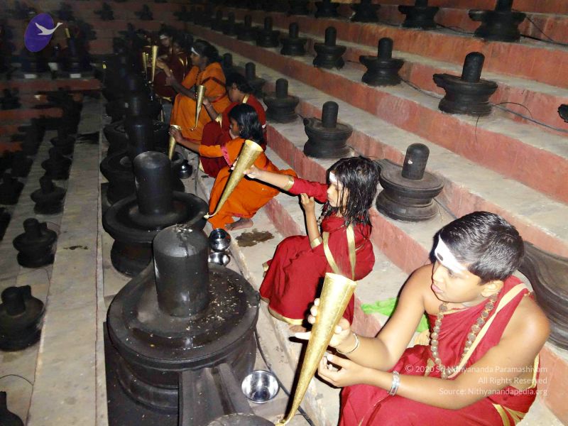 File:Batch 20140203 00408 CMP WM.jpg