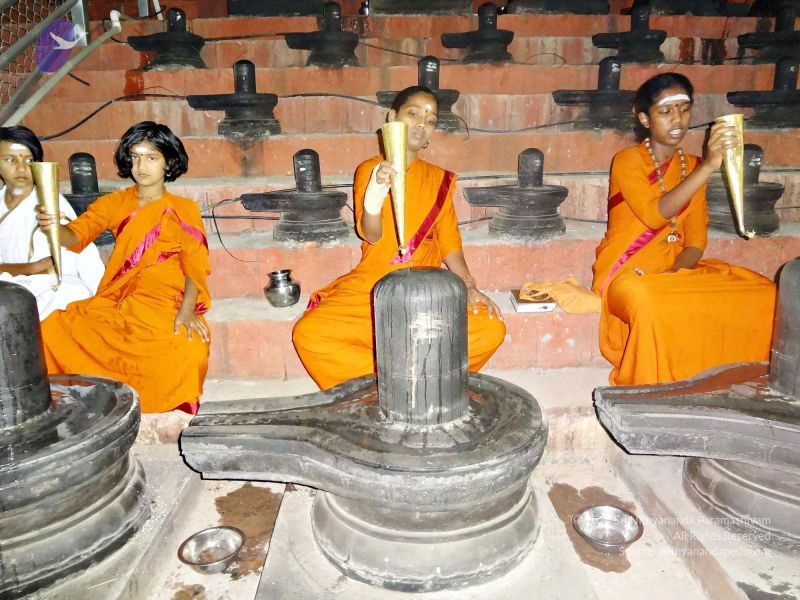 File:Batch 20140203 00417 CMP WM.jpg