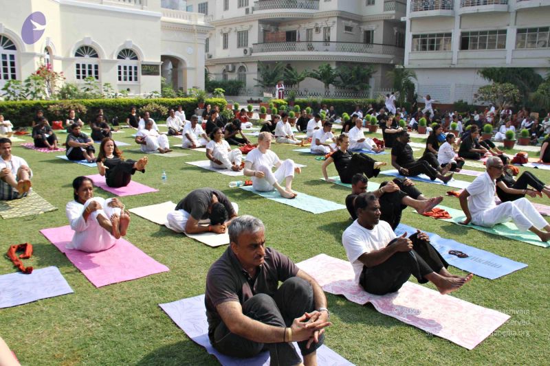 File:Batch 20140506 5150 CMP WM.jpg