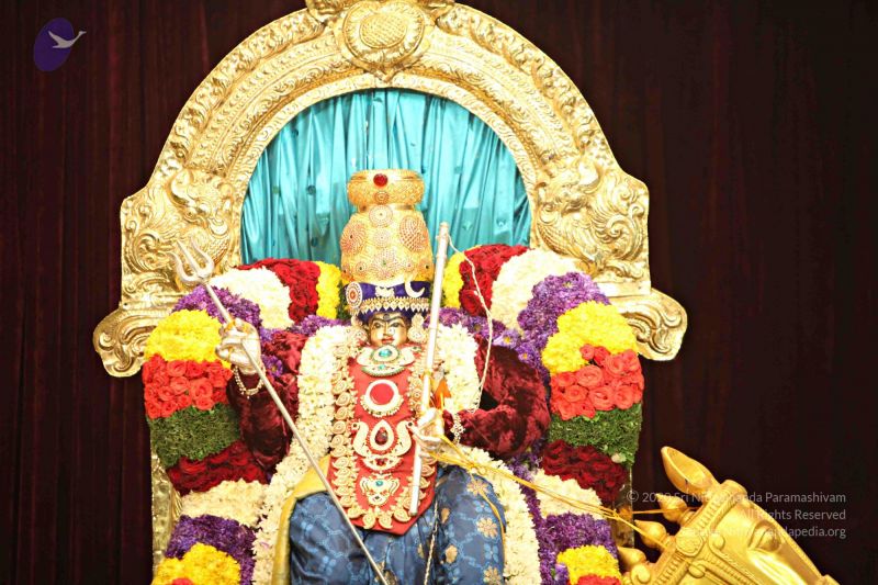 File:Batch 20150302 1771 CMP WM.jpg