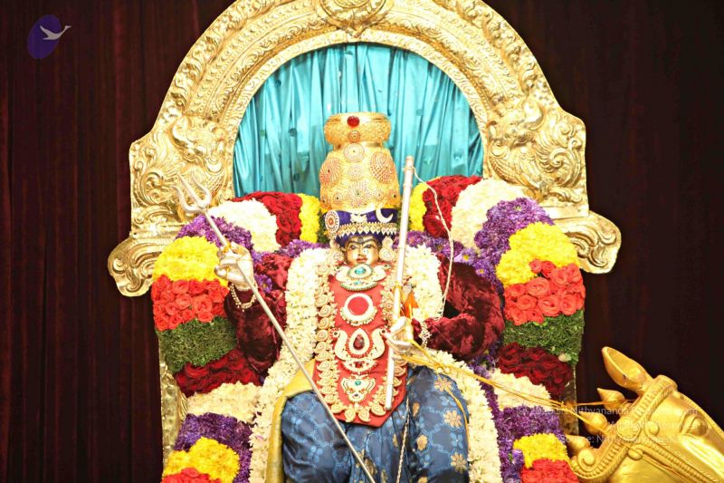 File:Batch 20150302 1793 CMP WM.jpg