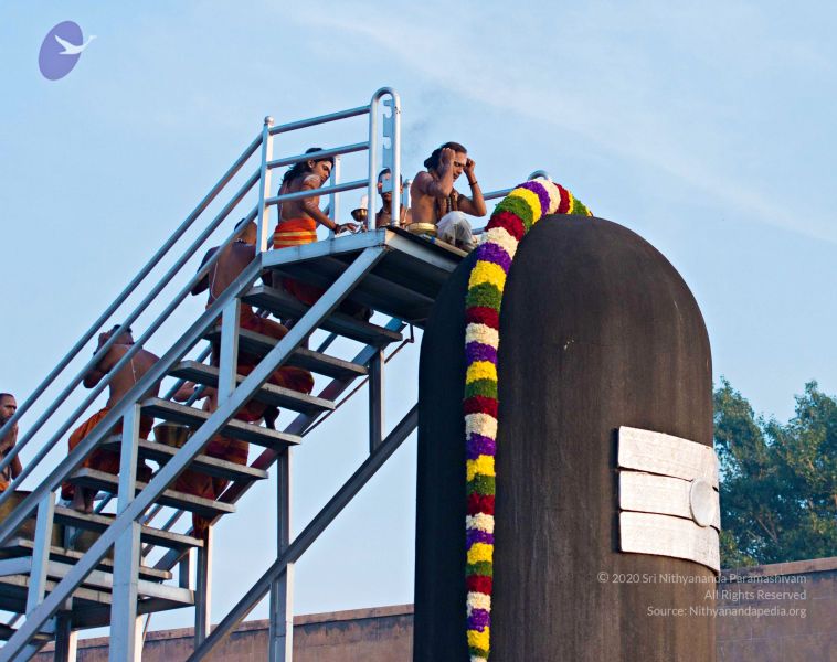 File:Batch 20161016 5335 CMP WM.jpg