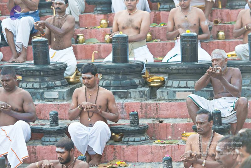 File:Batch 20161016 5355 CMP WM.jpg