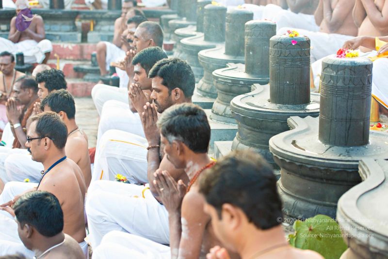 File:Batch 20161016 5359 CMP WM.jpg