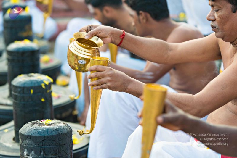 File:Batch 20161016 5361 CMP WM.jpg