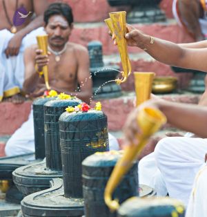 Batch 20161016 5364 CMP WM.jpg