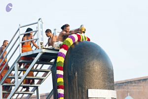 Batch 20161016 5366 CMP WM.jpg