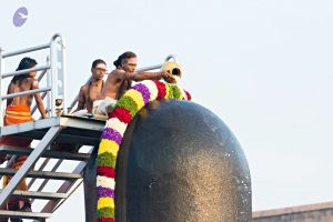 Batch 20161016 5370 CMP WM.jpg