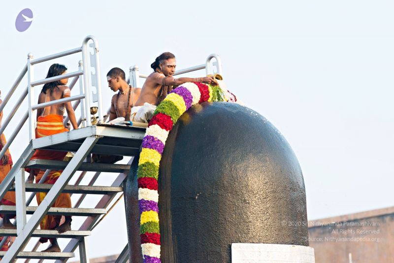 File:Batch 20161016 5371 CMP WM.jpg