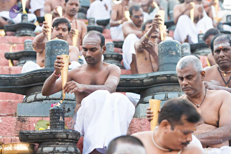 File:Batch 20161016 5377 CMP WM.jpg