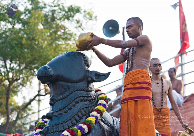 File:Batch 20161016 5378 CMP WM.jpg