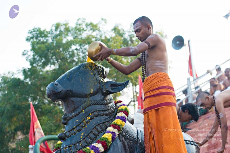 File:Batch 20161016 5387 CMP WM.jpg