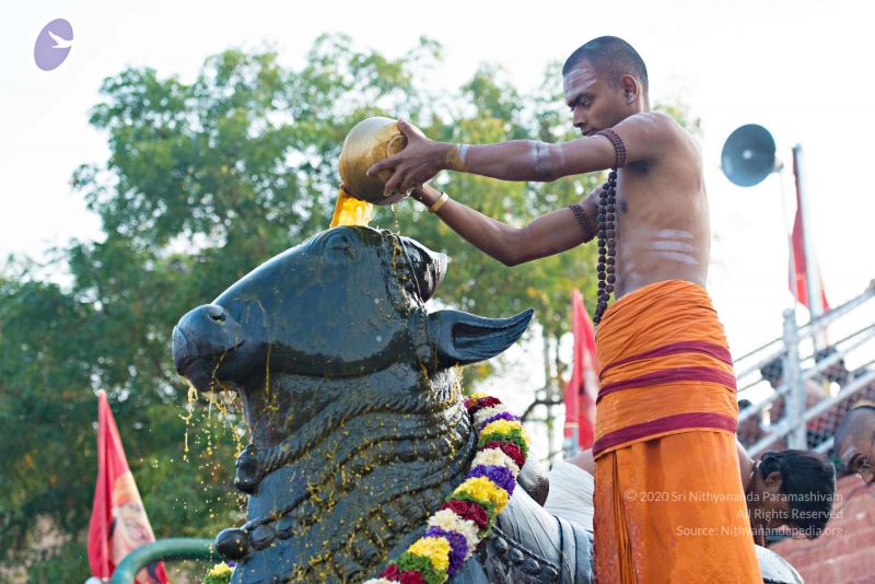 File:Batch 20161016 5388 CMP WM.jpg