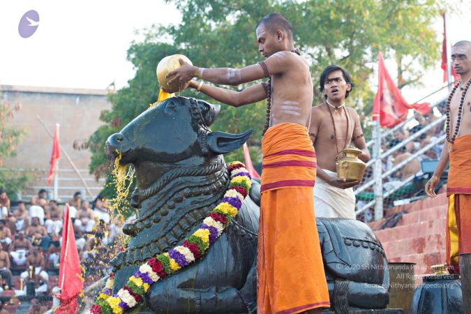 Batch 20161016 5393 CMP WM.jpg