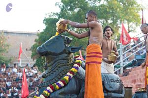 Batch 20161016 5394 CMP WM.jpg