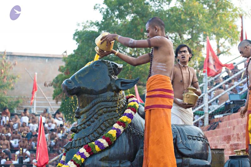 File:Batch 20161016 5394 CMP WM.jpg