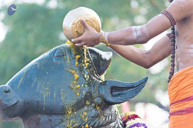 Batch 20161016 5395 CMP WM.jpg