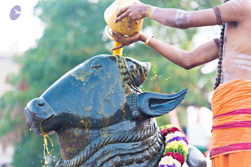 File:Batch 20161016 5409 CMP WM.jpg