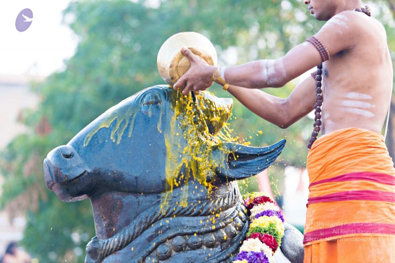 File:Batch 20161016 5410 CMP WM.jpg