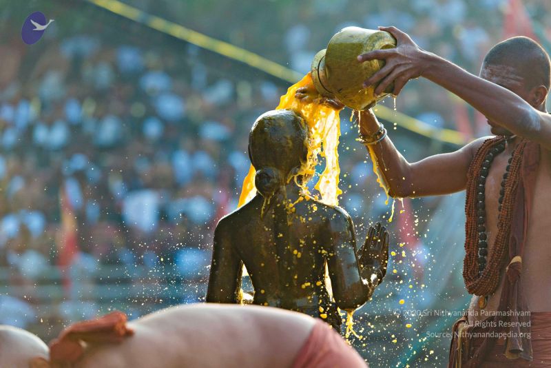 File:Batch 20161016 5451 CMP WM.jpg