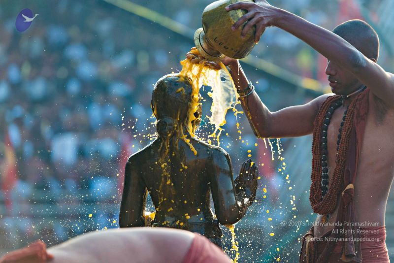 File:Batch 20161016 5453 CMP WM.jpg