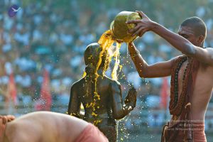 Batch 20161016 5454 CMP WM.jpg